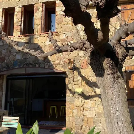 Maison Typique Corse A 10 Min D'ajaccio Et Plages Alata