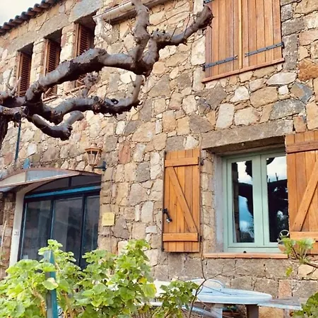 Maison Typique Corse A 10 Min D'ajaccio Et Plages Dom wakacyjny *